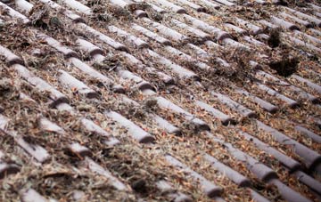 Ballyclog roof cleaning companies